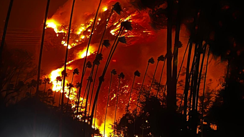 Predicting Next-Day Wildfire Spread